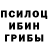 Псилоцибиновые грибы мухоморы Sabr cun