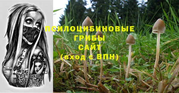 бошки Верея