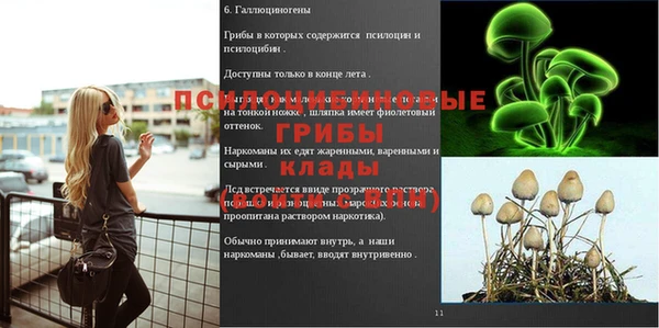СК Бородино
