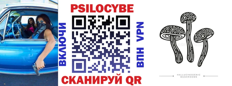 ОМГ ОМГ зеркало Катайск Псилоцибиновые грибы прущие грибы наркошоп